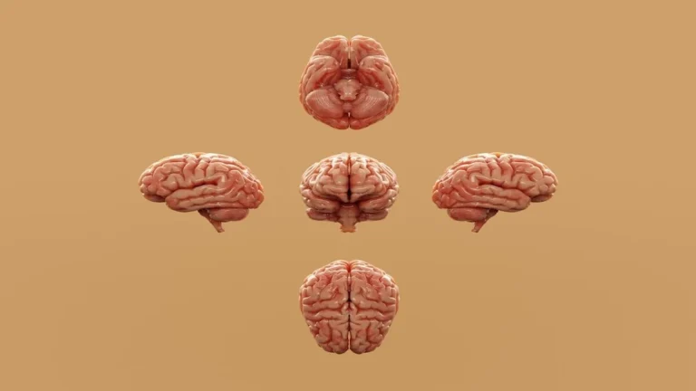 Brain Training Games: Powerful Ways to Think 8 Brain Training Games