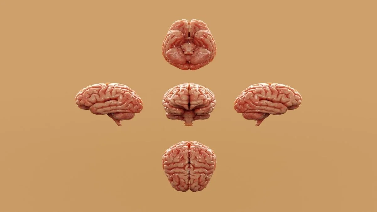 Brain Training Games: Powerful Ways to Think 1 Brain Training Games
